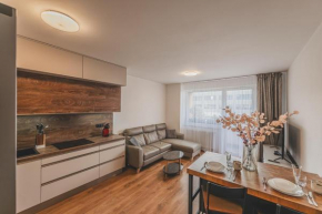 Luxusní Apartmán U Petrofa s vlastním parkovacím místem